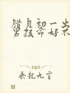 腊月初一出生的男孩命好不好?封面