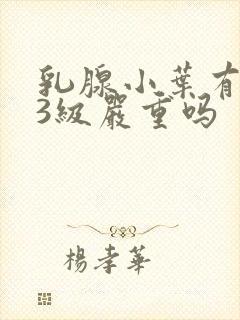 乳腺小叶有增生3级严重吗