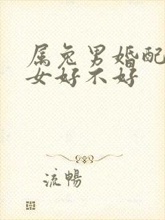 属兔男婚配属虎女好不好封面