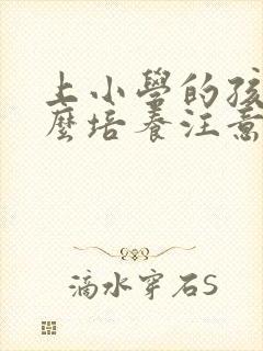 上小学的孩子怎么培养注意力封面