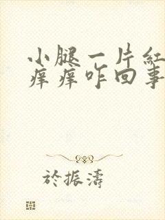 小腿一片红点点痒痒咋回事