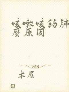 咳嗽咳的肺疼什么原因