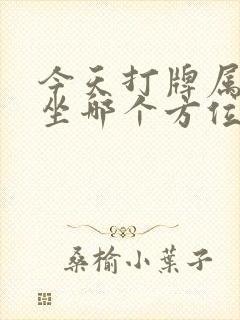 今天打牌属牛的坐哪个方位