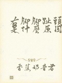 右脚脚趾头麻木是什么原因引起的