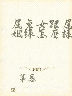 属兔女跟属鸡的姻缘怎么样