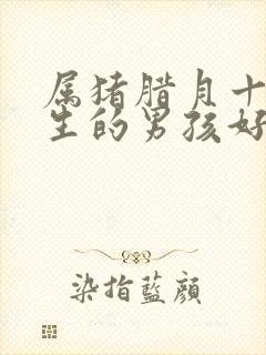 属猪腊月十五出生的男孩好吗