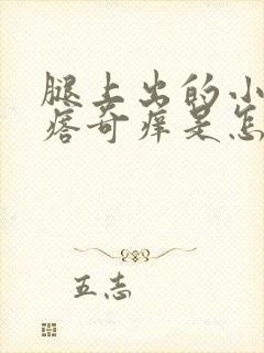 腿上出的小红疙瘩奇痒是怎么回事封面