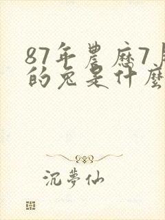 87年农历7月的兔是什么命