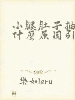 小腿肚子抽筋是什么原因引起的