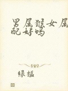 男属猴女属龙婚配好吗