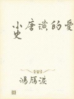 小唐璜的爱情历史封面