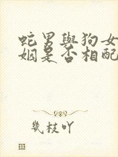 蛇男与狗女的婚姻是否相配