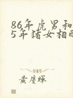 86年虎男和95年猪女相配婚姻如何封面