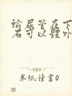 输尿管在下段结石可以体外碎石吗