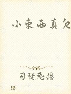 小东西真欠弄封面