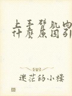 上手臂肌肉酸痛什么原因引起的