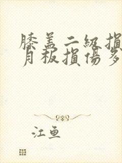 膝盖二级损伤半月板损伤多久恢复