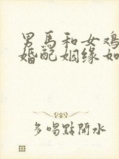 男马和女鸡相配婚配姻缘如何