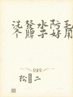 洗发水防毛躁那个牌子好用