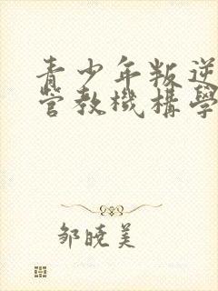 青少年叛逆孩子管教机构学校封面