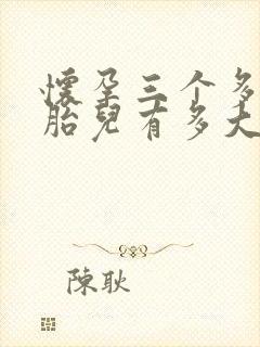 怀孕三个多月的胎儿有多大封面