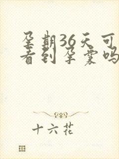 孕期36天可以看到孕囊吗