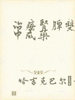 治疗肾脾双虚的中成药