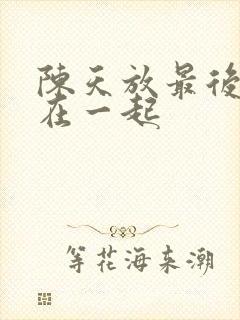 陈天放最后和谁在一起