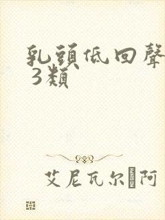 乳头低回声结节 3类