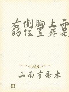 右侧胸上面一点的位置疼是怎么回事