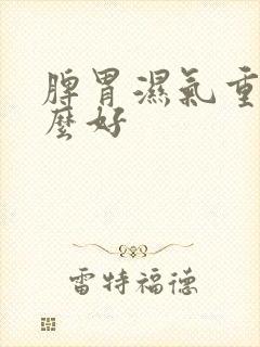 脾胃湿气重喝什么好