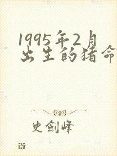 1995年2月出生的猪命运