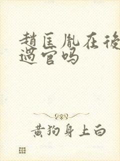 赵匡胤在后晋当过官吗