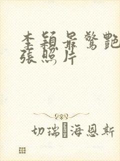 李颖最惊艳的三张照片