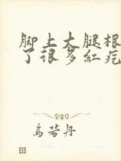 脚上大腿根部出了很多红疙瘩很痒