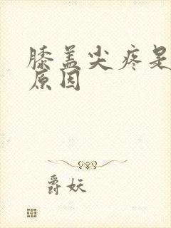 膝盖尖疼是什么原因