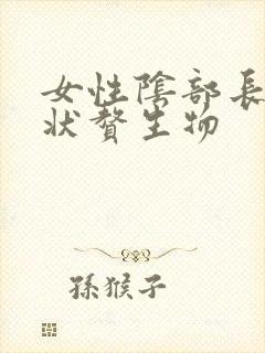 女性阴部长鸡冠状赘生物