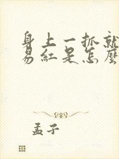 身上一抓就很容易红是怎么回事封面