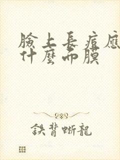 脸上长痘应该敷什么面膜