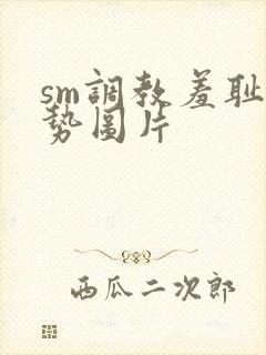 sm调教羞耻姿势图片