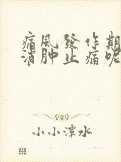 痛风发作期怎样消肿止痛呢