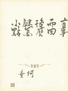 小腿后面有红点点怎么回事