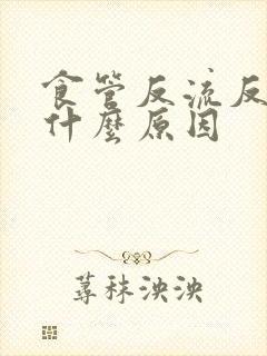 食管反流反酸是什么原因