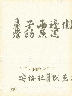 鼻子两边侧长痤疮的原因封面