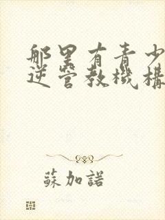 那里有青少年叛逆管教机构