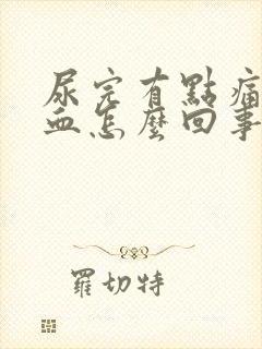 尿完有点痛还有血怎么回事封面