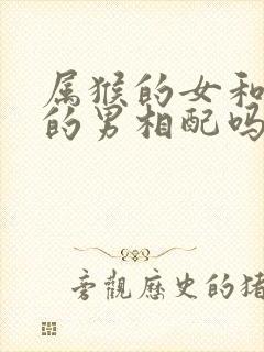 属猴的女和属龙的男相配吗