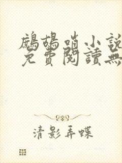 鹧鸪哨小说网站免费阅读无弹窗