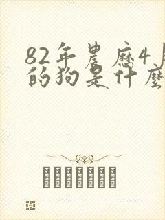 82年农历4月的狗是什么命