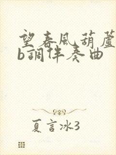 望春风葫芦丝降b调伴奏曲封面